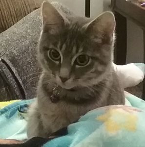 Meet your Posher, Alicia